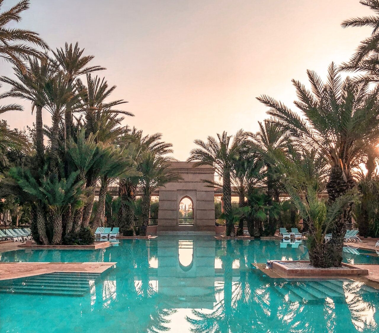 pexels-vincent-rivaud-2227774